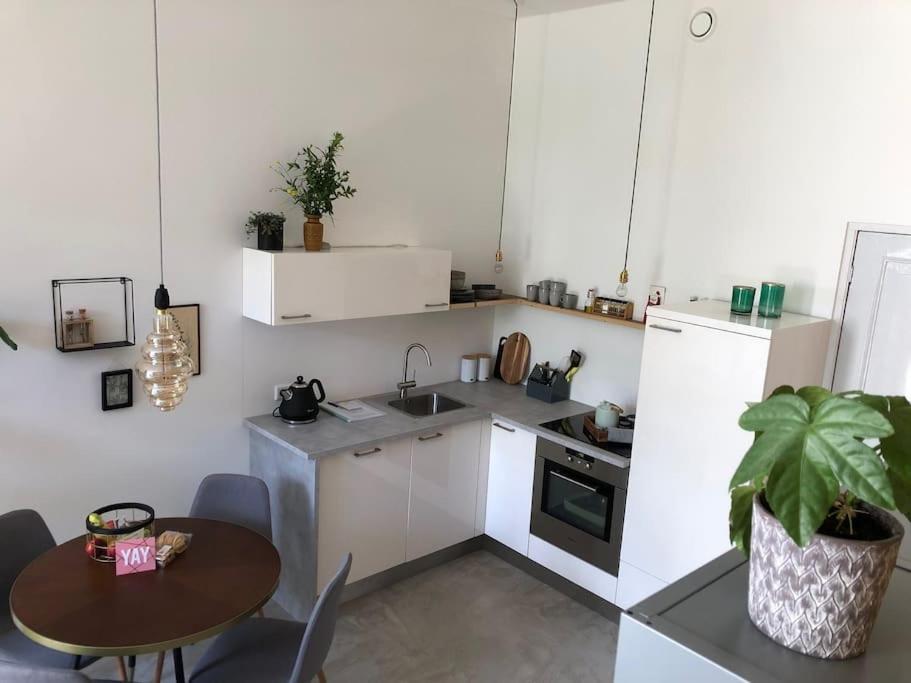Luxurious Appartement With Sauna And Kitchen In Center Of Dordrecht Kültér fotó